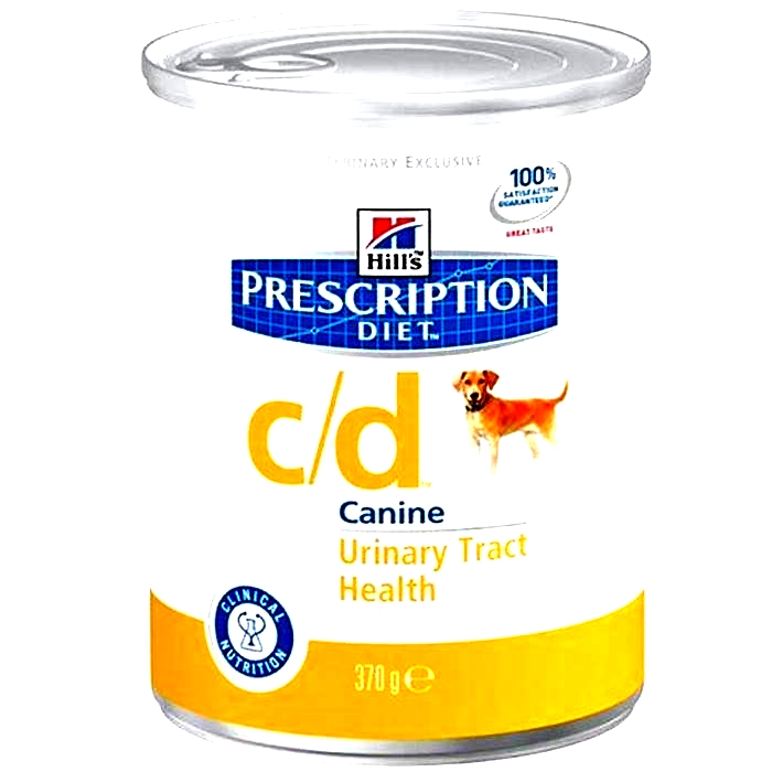 A Prescription for Good Health: Hills Veterinary Diet for Dogs