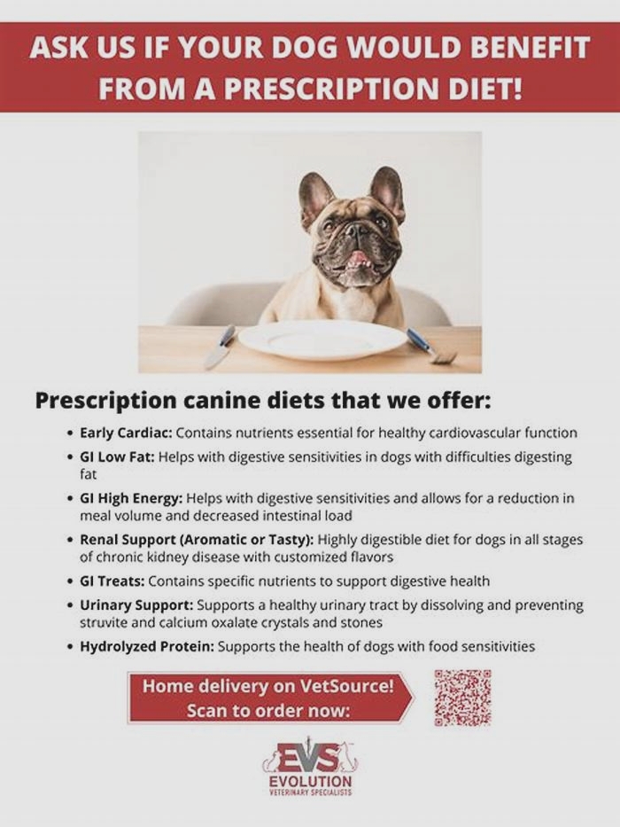 A Prescription for Health: Navigating Canine Diets with Your Vet