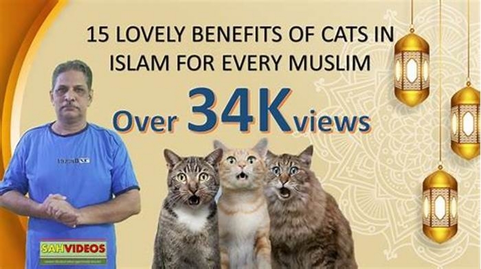 Are cats halal in Islam