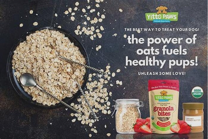 Are oats good for dogs?