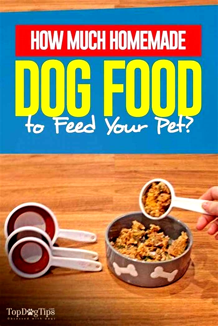 Can I feed my dog cheap dog food?