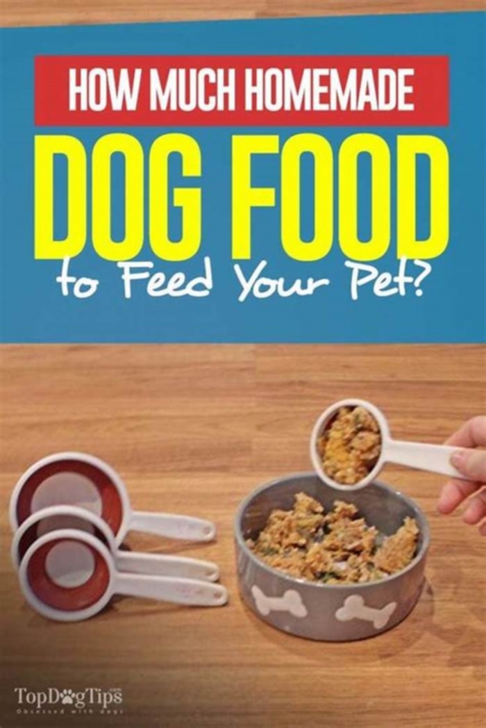 Can I feed my dog homemade food instead of dog food?