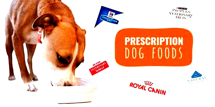 Can I mix prescription dog food with regular dog food