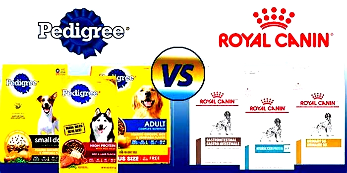 Can I switch from Royal Canin to Pedigree