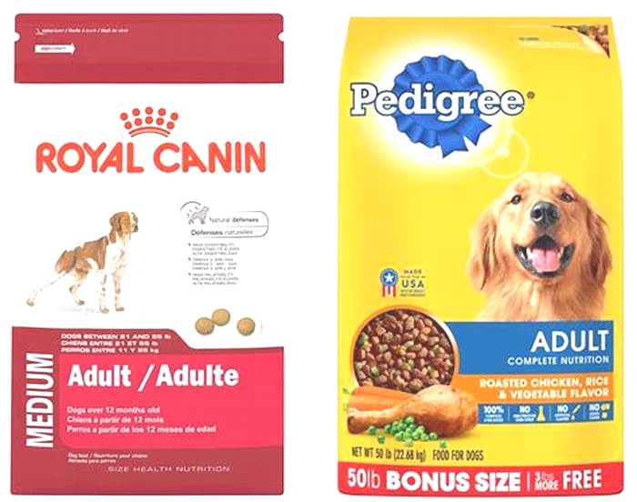 Can I switch from pedigree to Royal Canin?