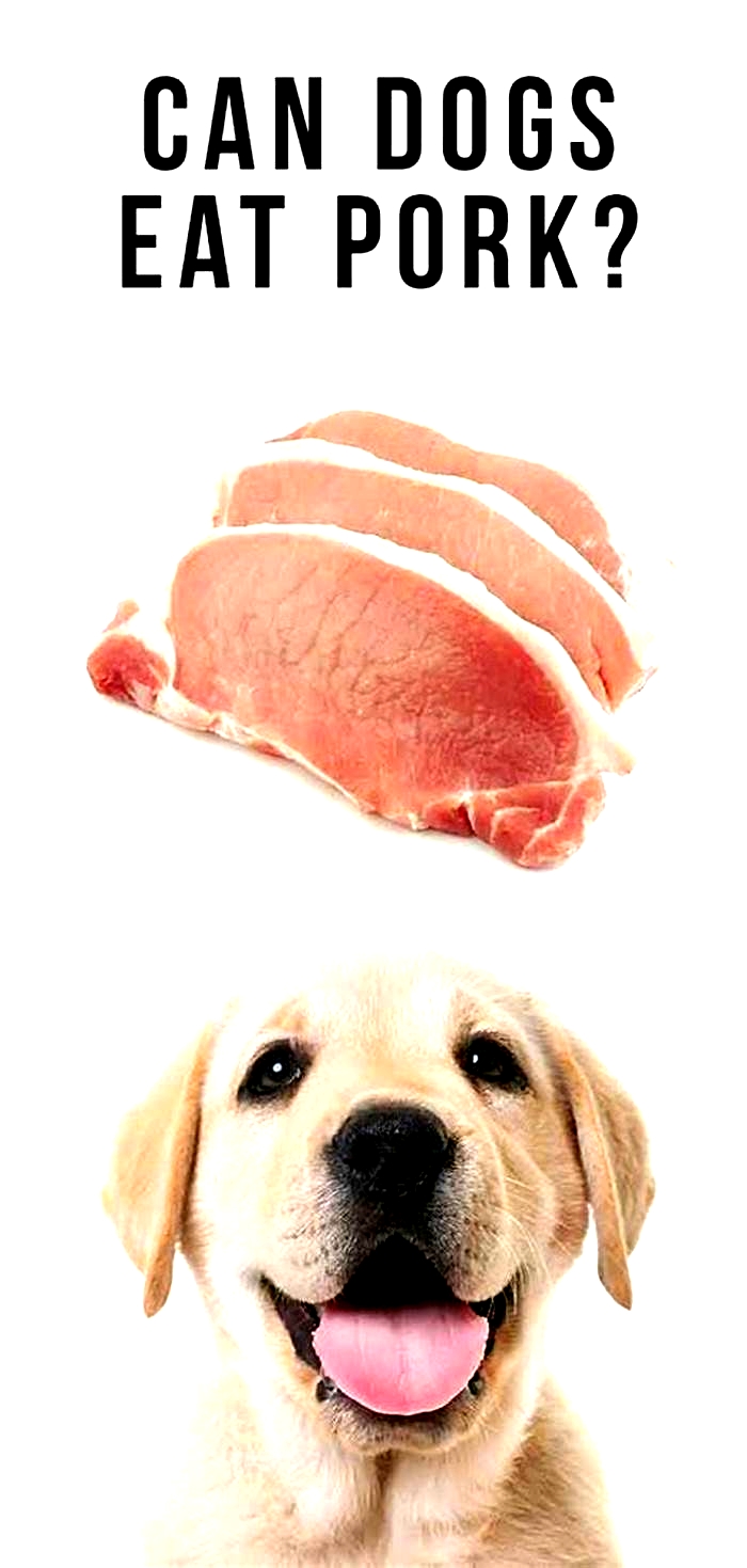 Can dogs eat Chinese pork