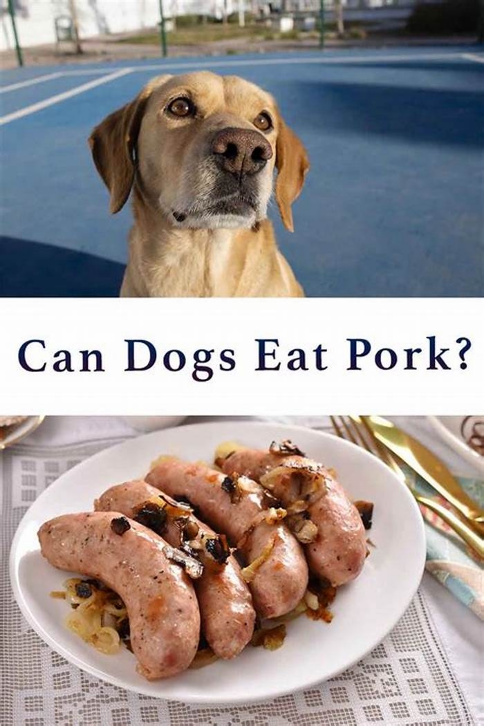 Can dogs eat Chinese style pork