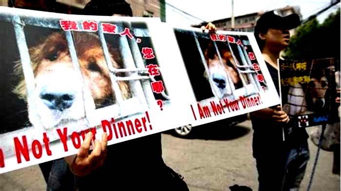 Did China ban eating dogs?