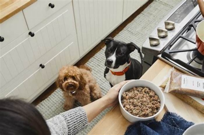 Discover Why Pet Owners Are Raving About The Farmer s Dog Food