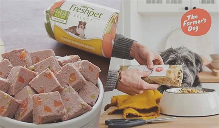 Discover the Difference: The Farmer's Dog Food vs. Traditional Brands