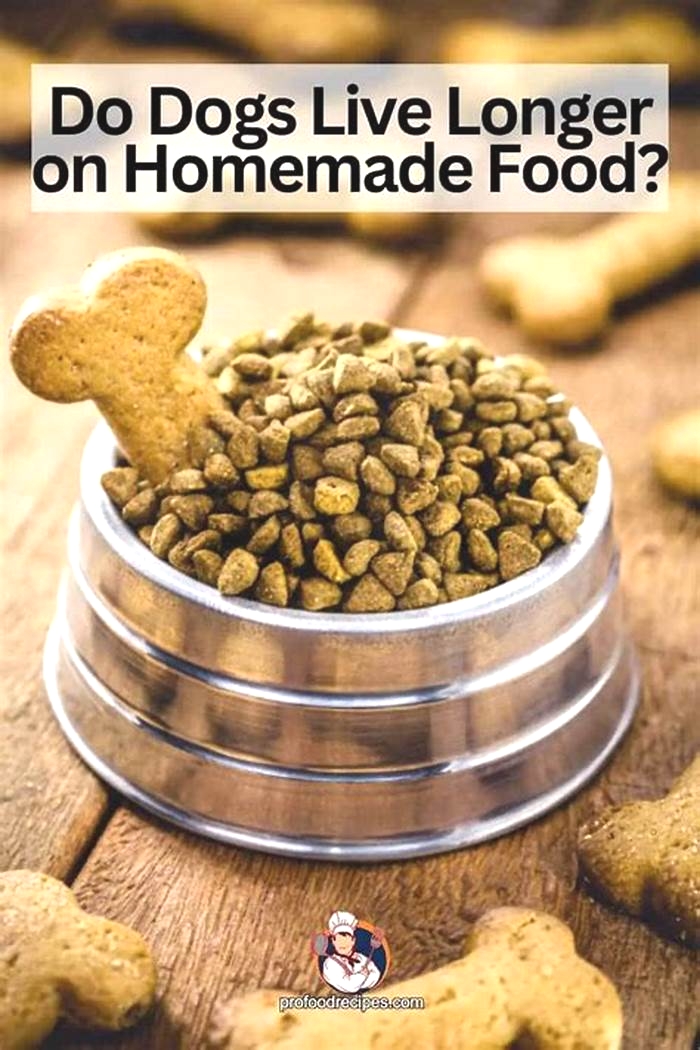 Do dogs live longer with homemade dog food