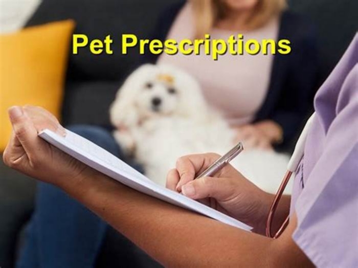 Do dogs need a prescription