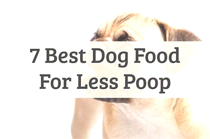 Do dogs poop less on farmer's dog food?