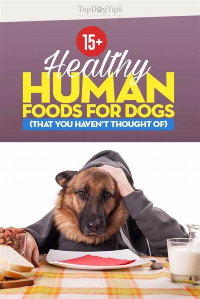 Do vets recommend human food for dogs?