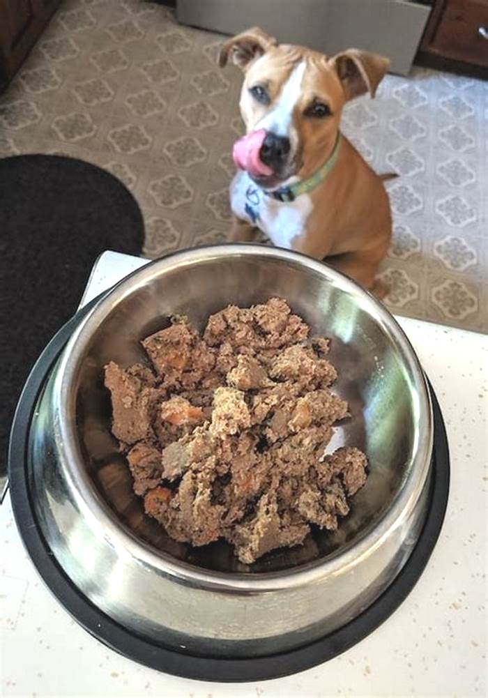 Exploring The Farmer's Dog Food: A Taste of Nature for Your Pooch