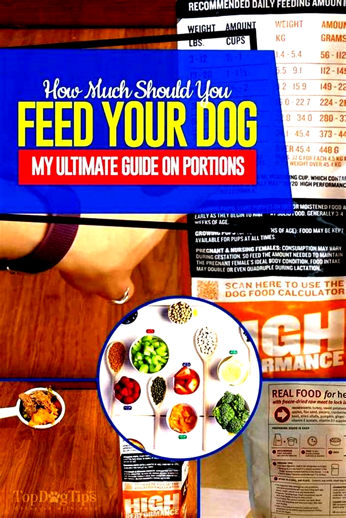 Farming Fido s Feast A Guide to Fresh Dog Nutrition