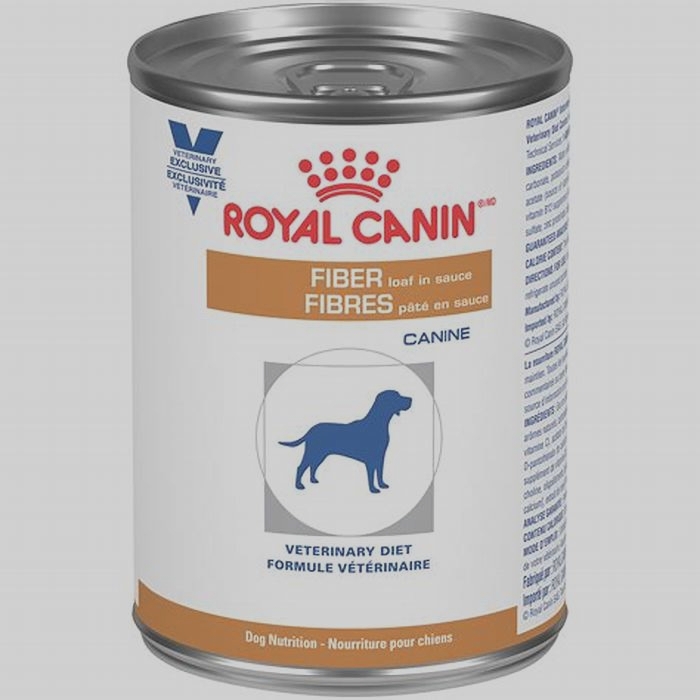 Fresh Dog Food for Dogs with Canine Respiratory Coronavirus: Supporting Respiratory Health