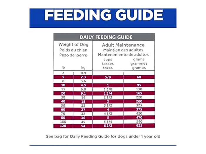 From Prescription to Plate: A Guide to Hills Canine Nutrition