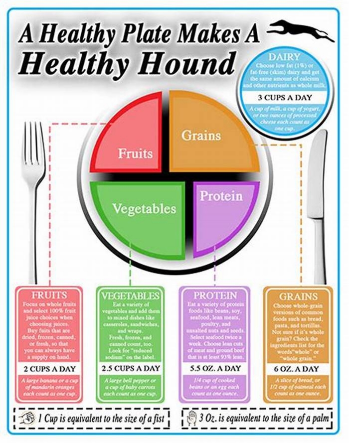 Grow a Healthy Hound Farm Inspired Doggy Dining