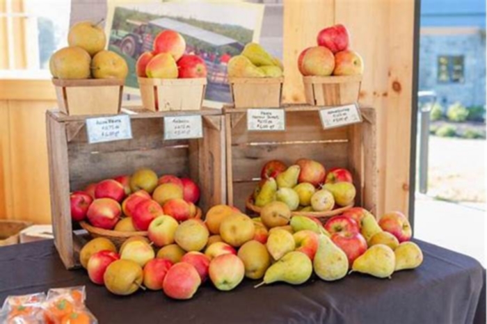 Harvesting Happiness: Farm-Fresh Food for Furry Friends