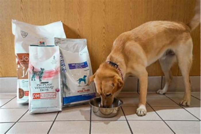 Healing with Food: The Role of Prescription Diets in Canine Health