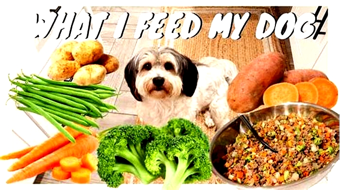 How can I make my dog food healthier?