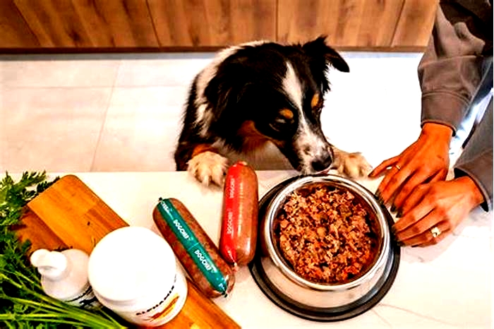 How do I know if my dog is eating enough?