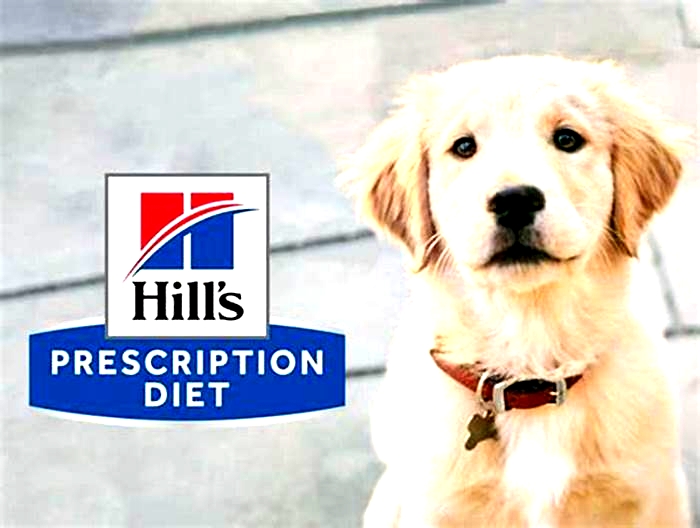 How long can a dog be on Hill's prescription diet?