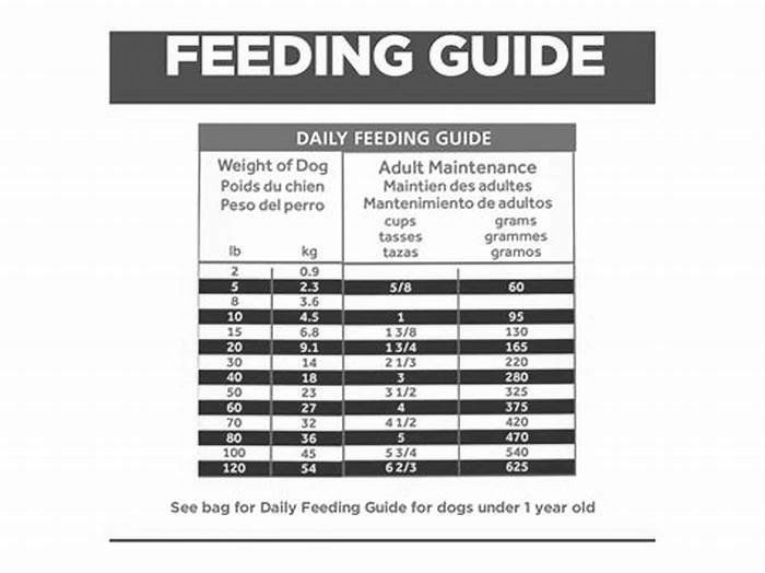 How much Hills prescription dog food do I feed my dog?