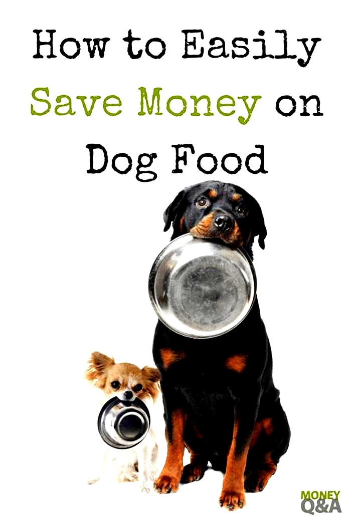 How to save money on dog food