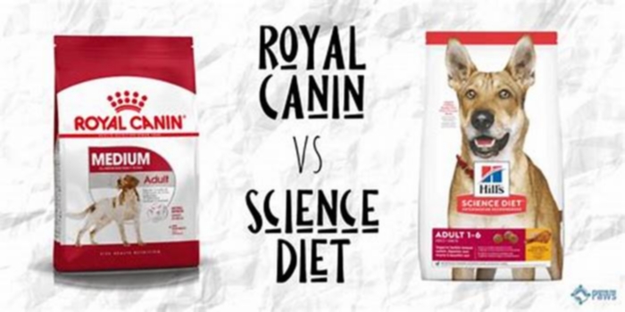 Is Hill s Science Diet or Royal Canin better