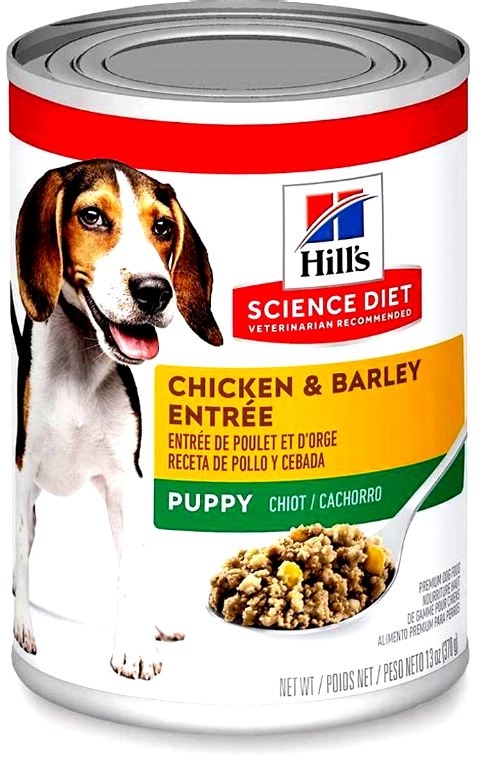 Is Hill's dog food tasty?