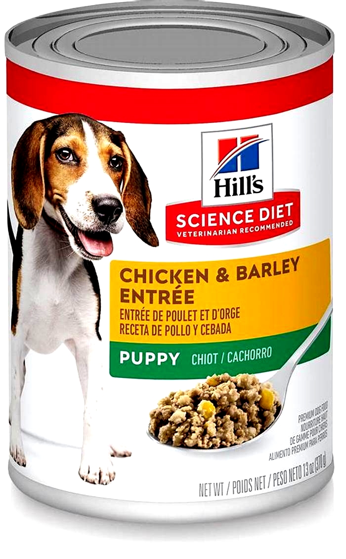 Is Hill's science diet good or bad for dogs?