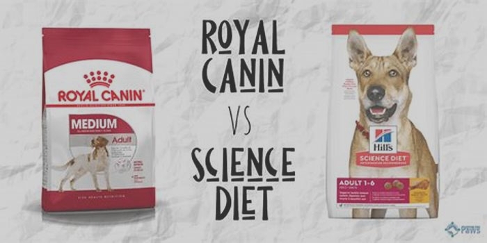 Is Hills or Royal Canin better