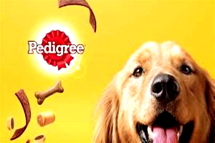 Is Pedigree a trusted brand?