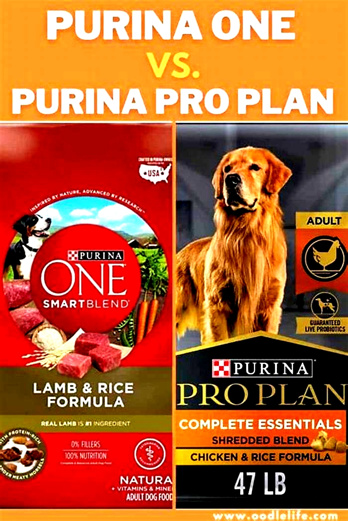 Is Purina One better than dog chow