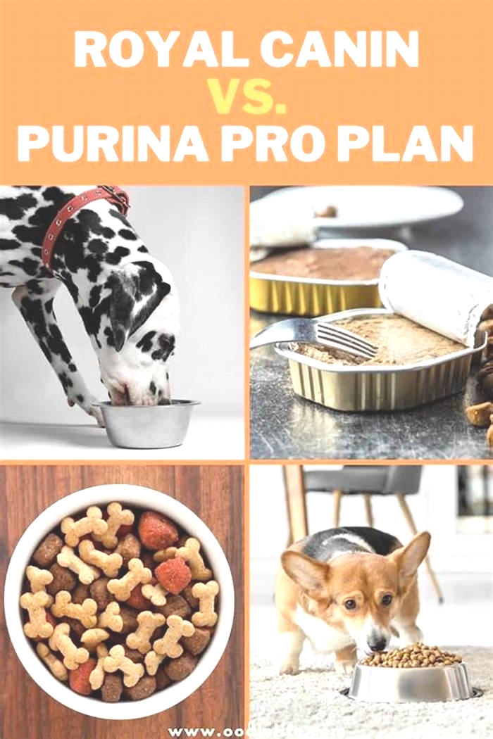 Is Purina as good as Royal Canin?