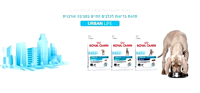 Is Royal Canin Israel s product