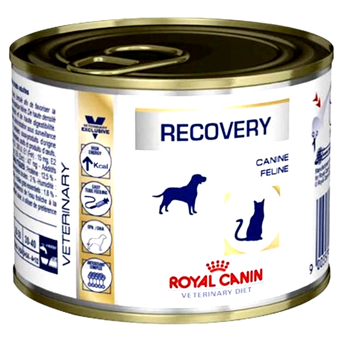 Is Royal Canin Recovery a prescription