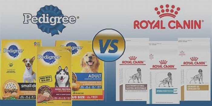 Is Royal Canin better than pedigree?