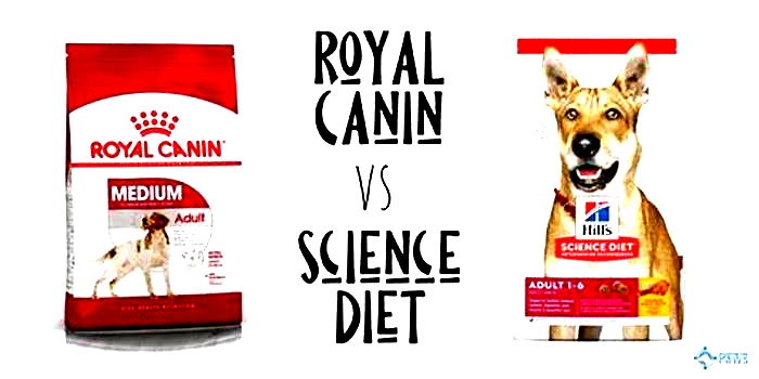 Is Royal Canin or Hills Science better?