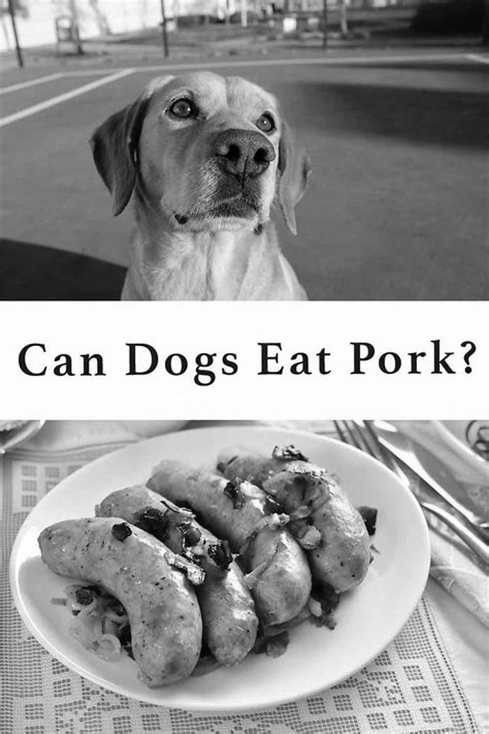 Is chicken or pork better for dogs?