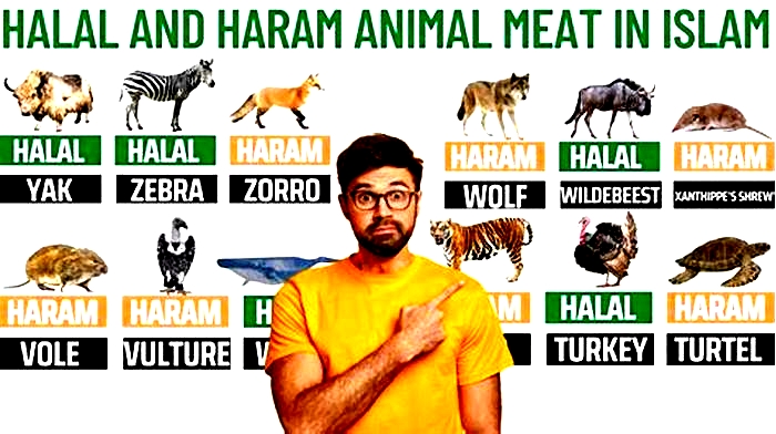 Is dog meat haram?