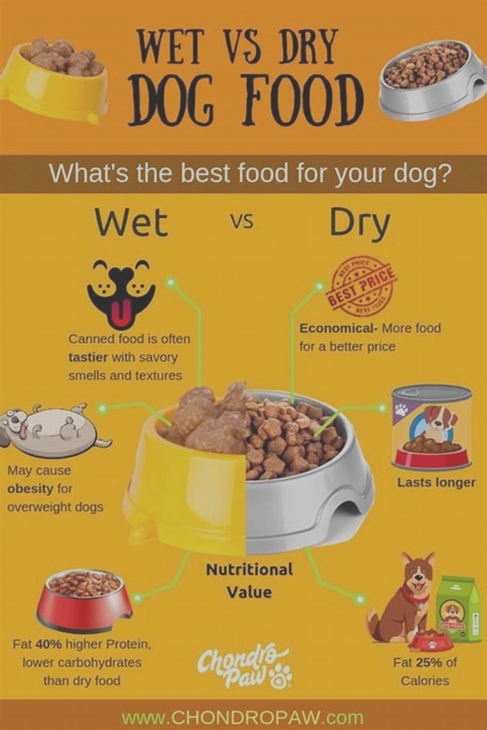 Is dry or wet food better for dogs?