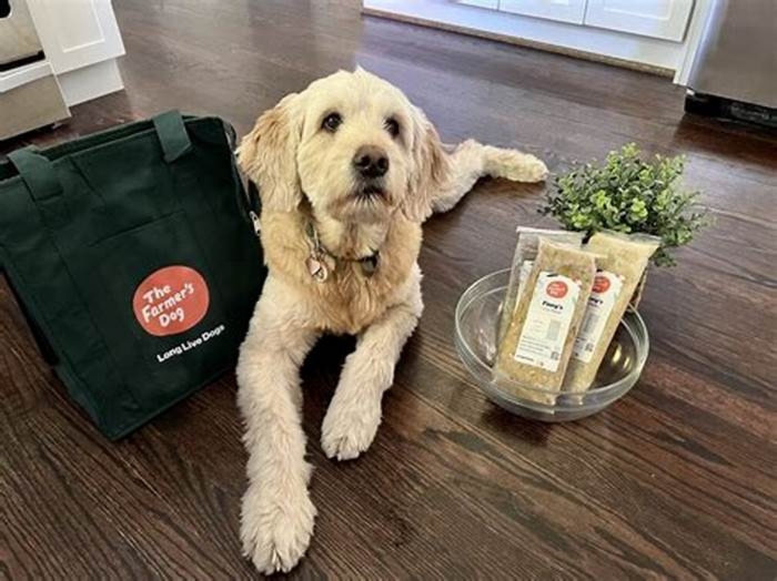 Is farmers dog food expensive?