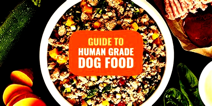 Is human grade dog food better than dry dog food?