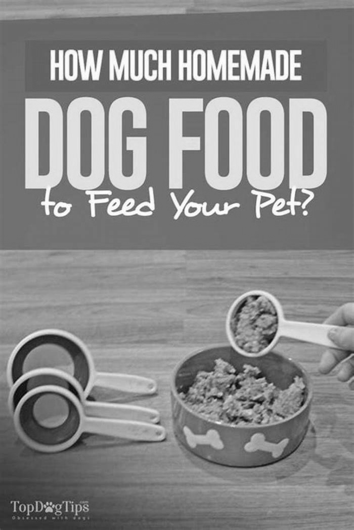 Is it OK to feed your dog cheap dog food