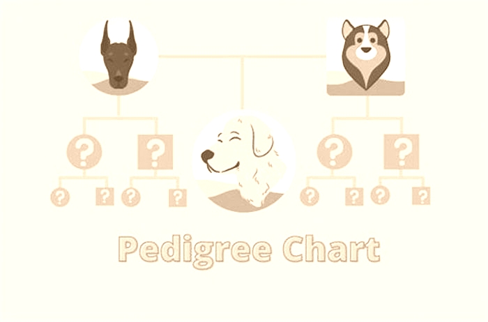 Is pedigree low quality