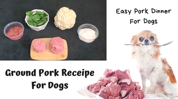 Is pork good for dogs?