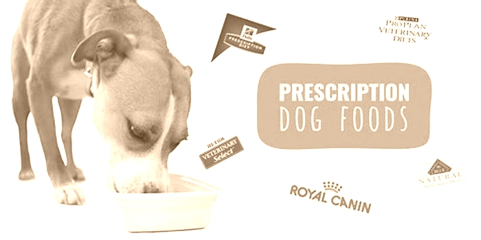 Is prescription dog food better for dogs